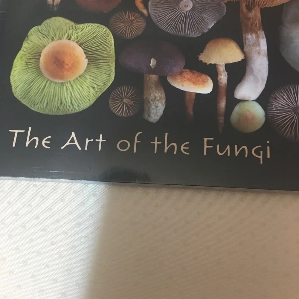 Moritz Schmid Art of the Mushroom 2026 12